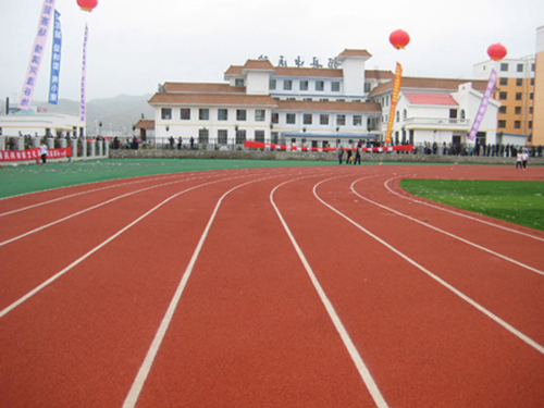 青海河湟乐都体育馆400米混合式跑道